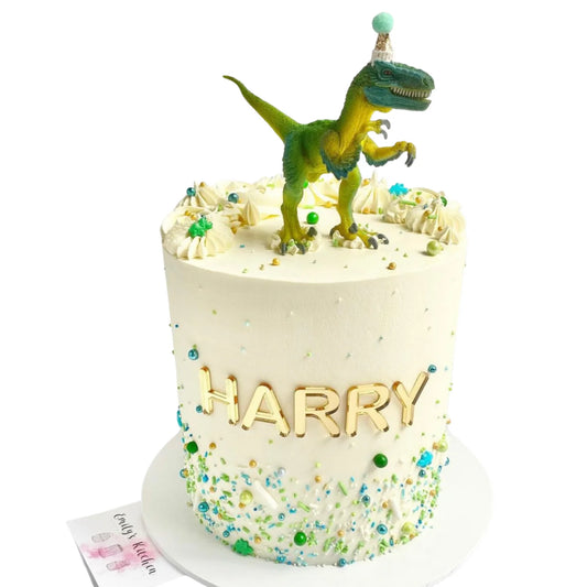 Individual Acrylic Letters and Numbers